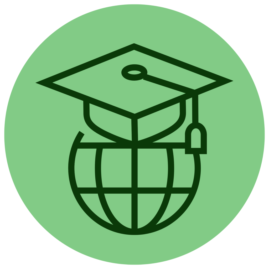 Digital literacy icon